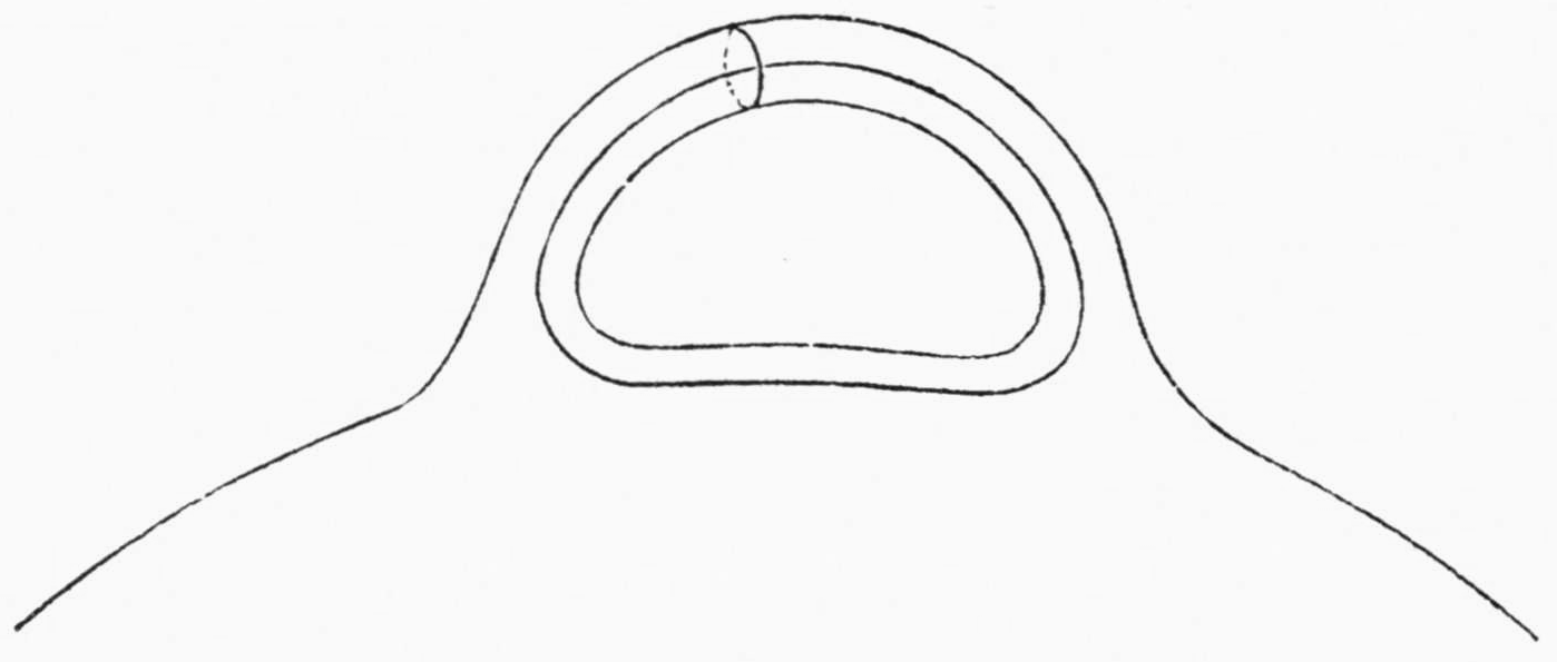 A single handle rising from the surface, with a small closed curve, partly dashed, drawn around the handle's tube near its top and a second curve running along the handle's length.