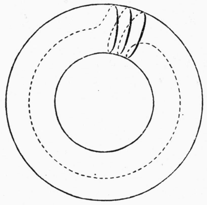 The same ring surface as two concentric circles; a dashed curve runs once around the ring and, near the top, is joined by three parallel strokes, solid in front and dashed behind, crossing the tube.