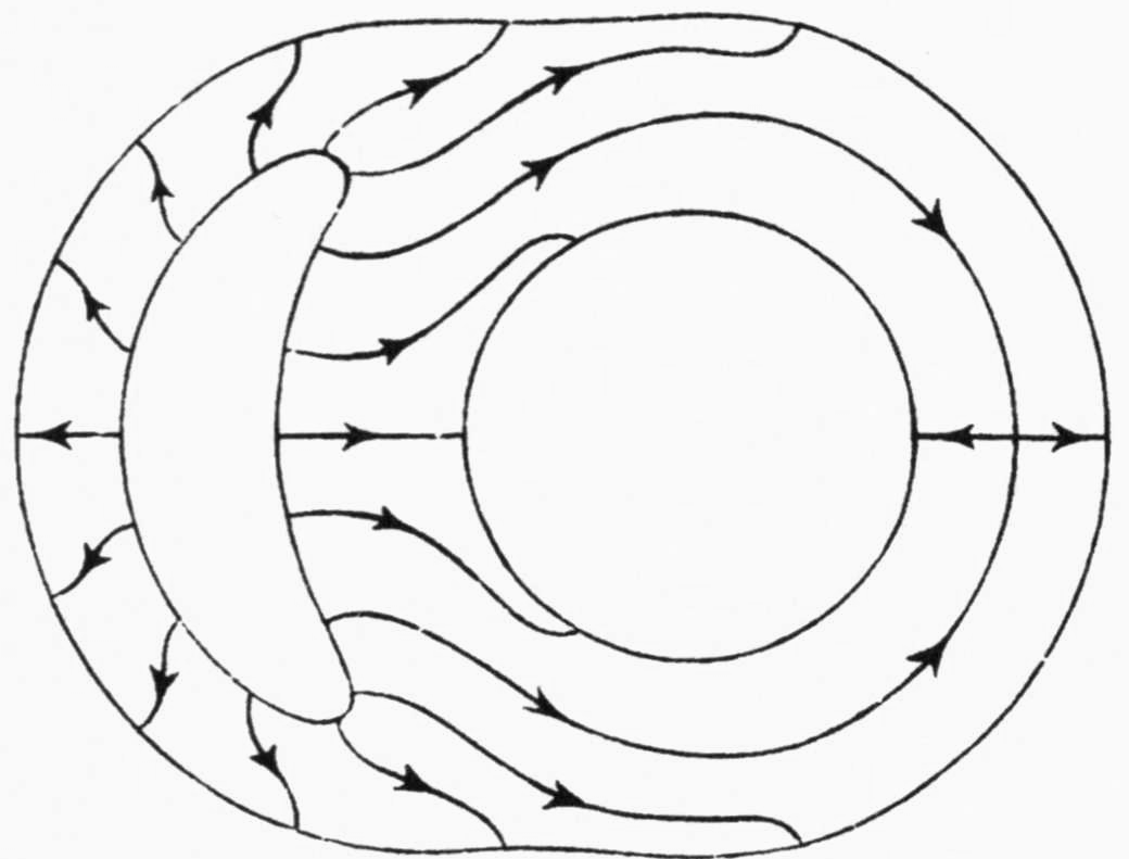 An oval ring surface with a large circular hole on the right and a narrow crescent-shaped handle on the left. Arrowed flow curves run from the crescent across the surface to the hole and the outer contour; a horizontal line through the middle carries arrows pointing outward on both sides.