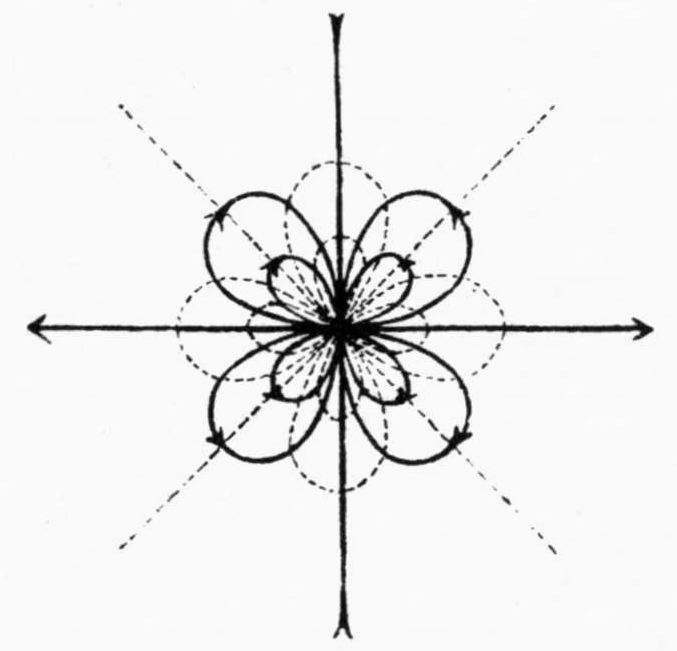 Flow near a twofold algebraic discontinuity point: horizontal and vertical arrowed axes and dotted diagonal lines cross at a central point; four large solid arrowed loops and four smaller solid loops, like petals of a flower, pass through the centre, interleaved with dotted loops of the level curves.